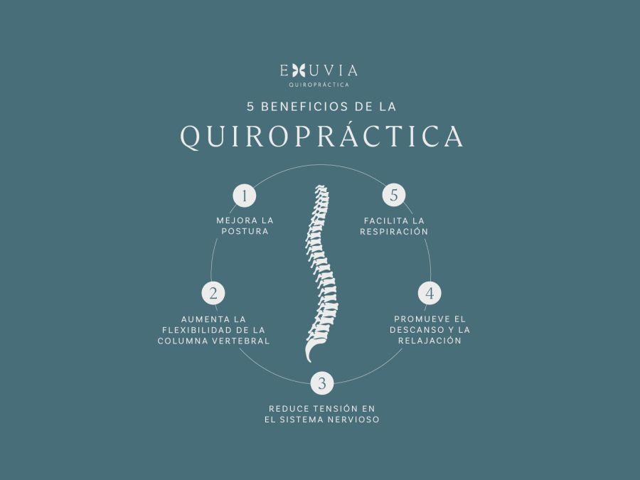 5-beneficios-de-la-quiropráctica_2